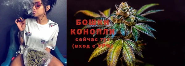 амф Арсеньев