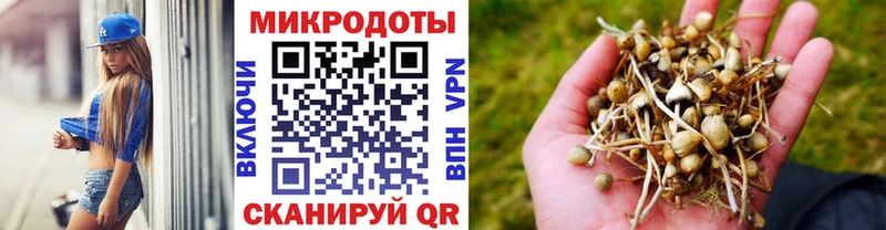 Псилоцибиновые грибы мухоморы  блэк спрут ONION  Афипский  где найти наркотики 